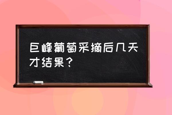 吃多久巨峰葡萄就可以看得出好处 巨峰葡萄采摘后几天才结果？