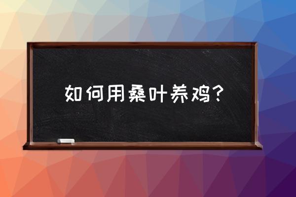 广州农科院桑葚汁 如何用桑叶养鸡？