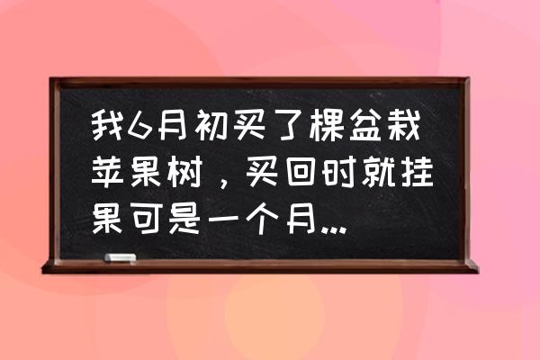 盆栽苹果长不大的原因 我6月初买了棵盆栽苹果树，买回时就挂果可是一个月了苹果还那么大，这是什么原因？