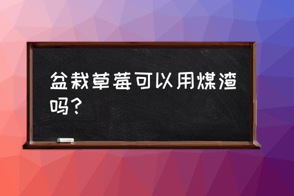 草莓盆栽的养殖方法和注意事项 盆栽草莓可以用煤渣吗？