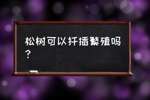 松树嫁接的最佳时期 松树可以扦插繁殖吗？