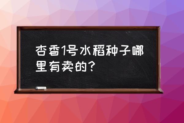 哪里能买到自己家的水稻 杏香1号水稻种子哪里有卖的？