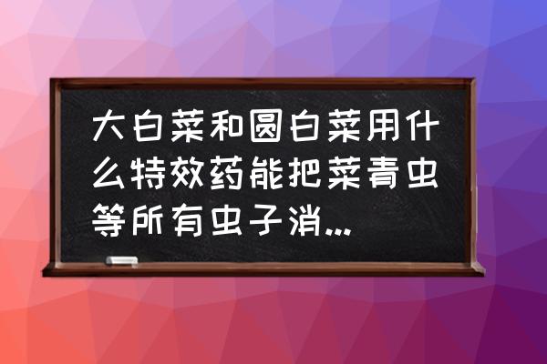 怎样才能除掉白菜上的虫子 大白菜和圆白菜用什么特效药能把菜青虫等所有虫子消灭，用5％阿维菌素打不死？