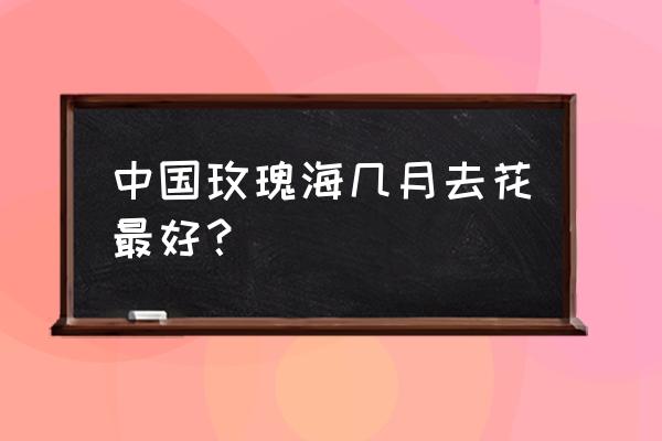 国内十大著名玫瑰花海 中国玫瑰海几月去花最好？