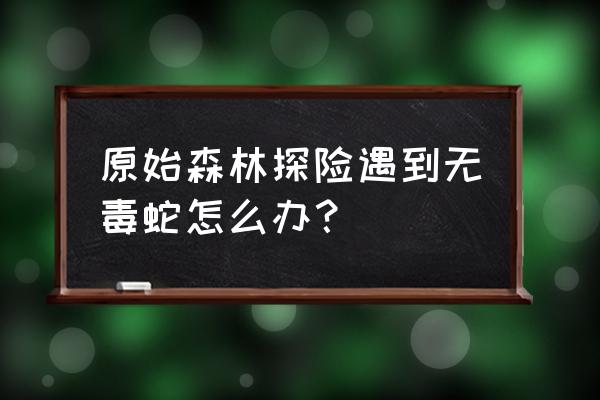 去原始森林探险需要准备什么东西 原始森林探险遇到无毒蛇怎么办？