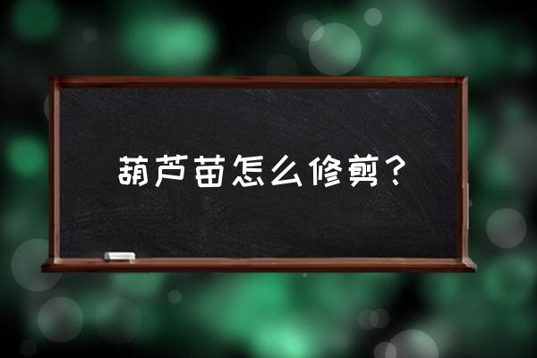 葫芦苗用不用打尖 葫芦苗怎么修剪？