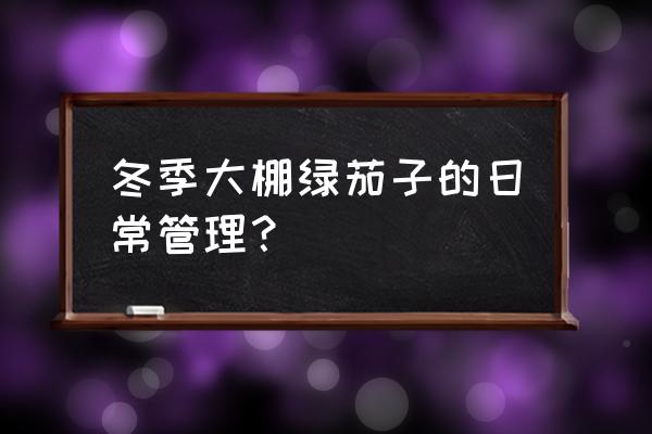 现在大棚茄子种植方法 冬季大棚绿茄子的日常管理？