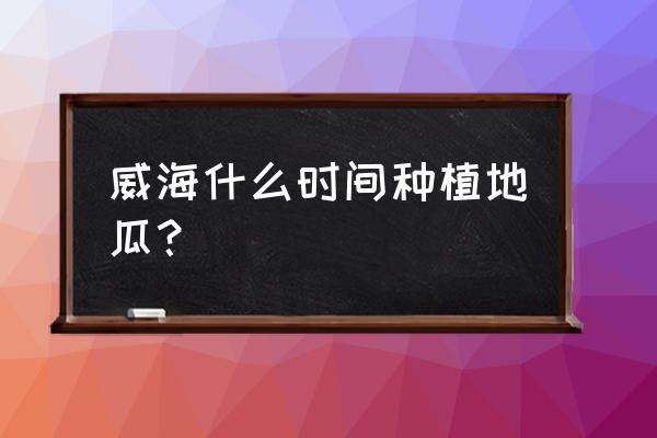 红薯土培盆栽的种植方法 威海什么时间种植地瓜？