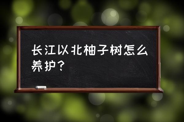 柚子树扦插多久能生根杀菌 长江以北柚子树怎么养护？