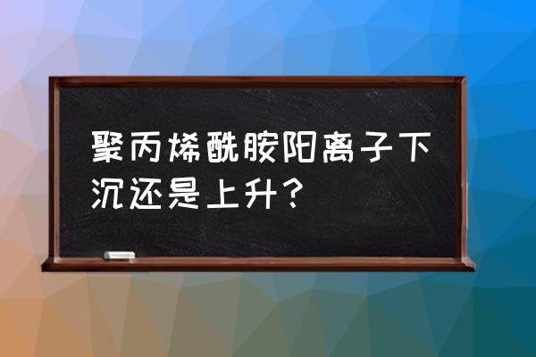 阳离子聚丙烯酰胺对人有什么影响 聚丙烯酰胺阳离子下沉还是上升？