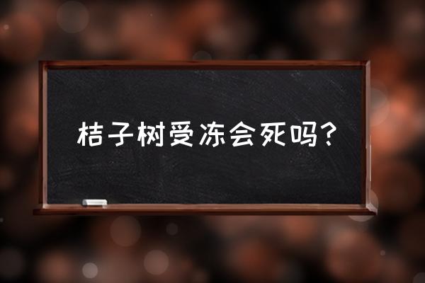 桔子树怕什么会死 桔子树受冻会死吗？