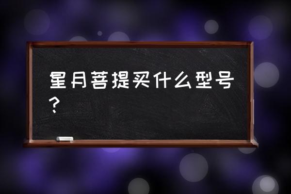 顶级星月菩提 星月菩提买什么型号？