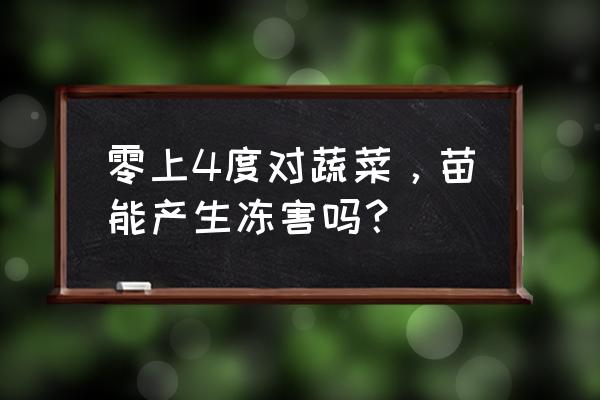 蔬菜冻害最全预防补救措施教给你 零上4度对蔬菜，苗能产生冻害吗？