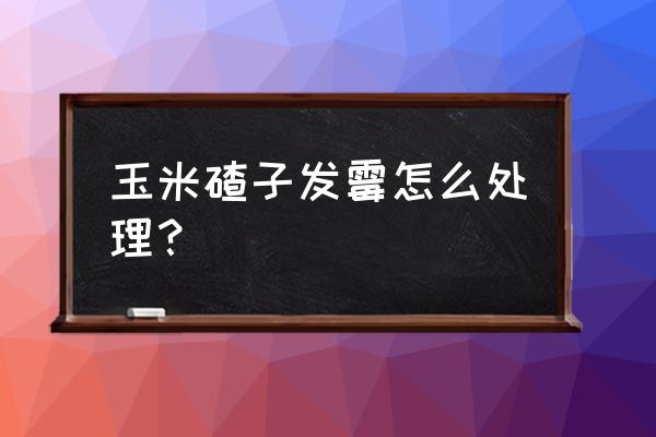 饲料霉变后怎样去毒 玉米碴子发霉怎么处理？