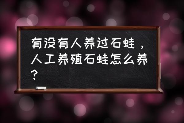 mc国际版青蛙怎么驯服 有没有人养过石蛙，人工养殖石蛙怎么养？