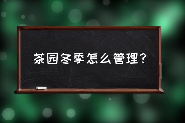 茶园病虫害防治小妙招 茶园冬季怎么管理？