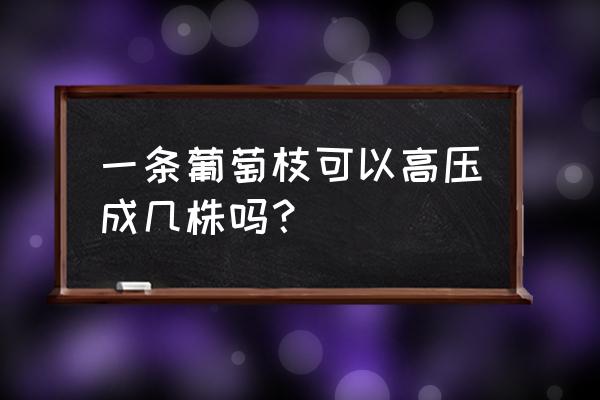 葡萄叶子连藤的画法步骤 一条葡萄枝可以高压成几株吗？