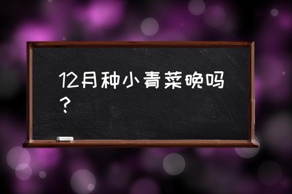 12月份露地可种植的蔬菜 12月种小青菜晚吗？