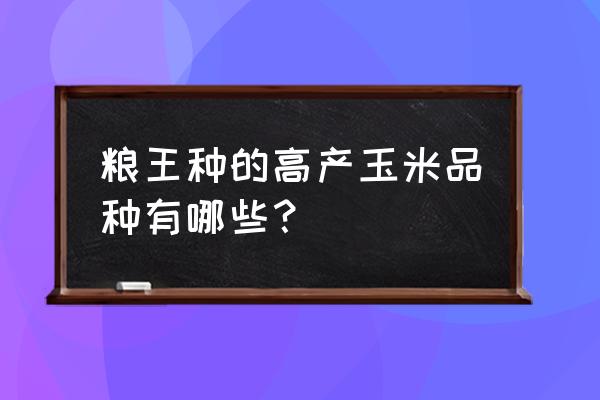 什么品种玉米夏播最高产 粮王种的高产玉米品种有哪些？