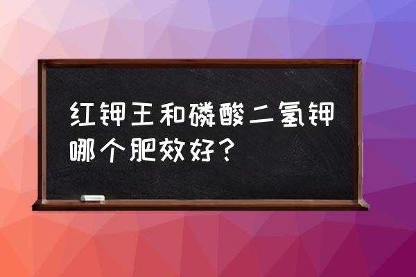 为什么说磷酸二氢钾是万能肥 红钾王和磷酸二氢钾哪个肥效好？