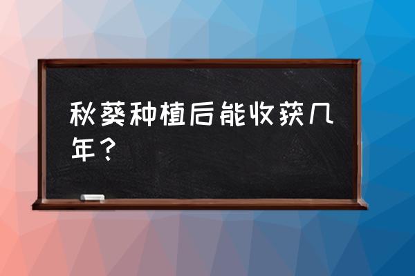 黄秋葵播种到结果需要多少天 秋葵种植后能收获几年？