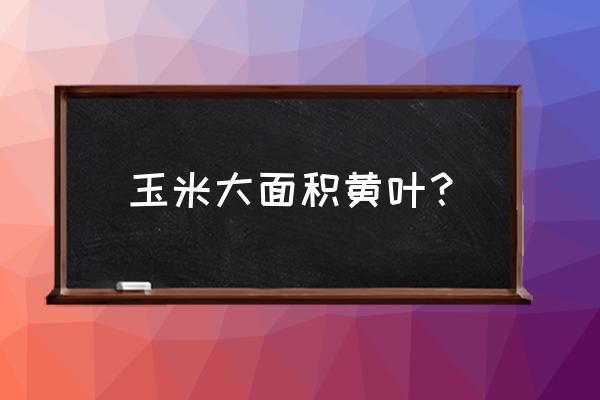 玉米发黄了怎么补救 玉米大面积黄叶？