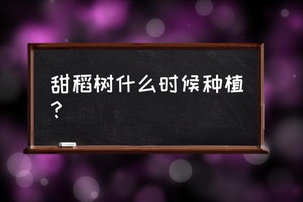 晚稻秧苗的种植方法 甜稻树什么时候种植？