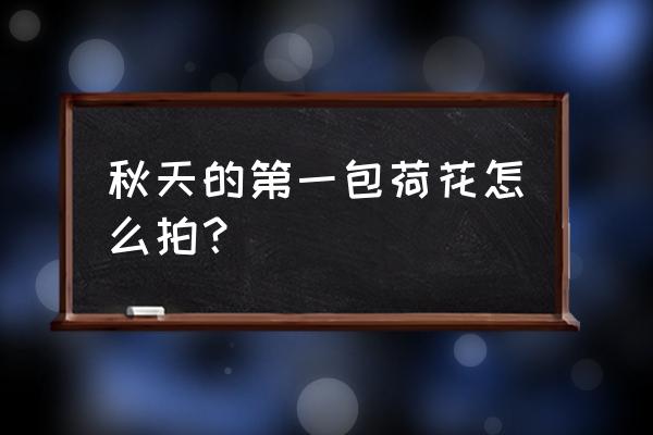 荷花拍摄技巧详细 秋天的第一包荷花怎么拍？