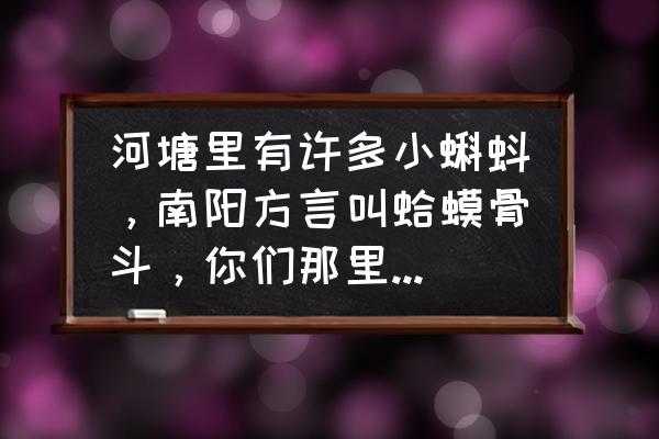 小古文猫斗的翻译及注释 河塘里有许多小蝌蚪，南阳方言叫蛤蟆骨斗，你们那里叫什么？