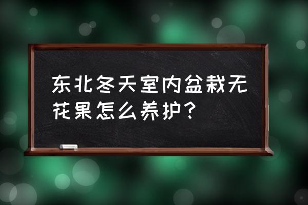 秋天的无花果怎么放冬天才好吃 东北冬天室内盆栽无花果怎么养护？