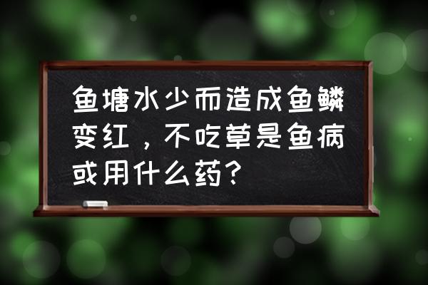 怎么判断鱼病好不好 鱼塘水少而造成鱼鳞变红，不吃草是鱼病或用什么药？