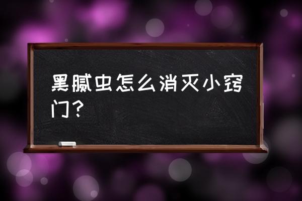 油虫怎么去除最好的方法 黑腻虫怎么消灭小窍门？