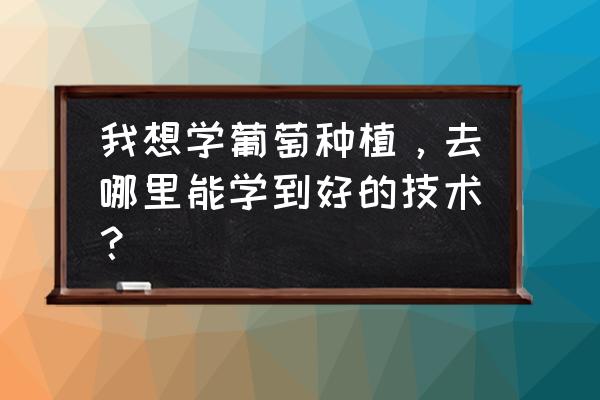 葡萄幼苗怎么喂牛粪 我想学葡萄种植，去哪里能学到好的技术？