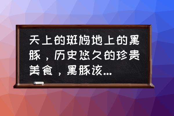 黑豚交易市场在哪里 天上的斑鸠地上的黑豚，历史悠久的珍贵美食，黑豚该如何人工饲养？