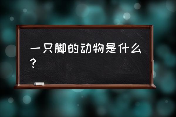 小朋友画千姿百态的蜗牛 一只脚的动物是什么？