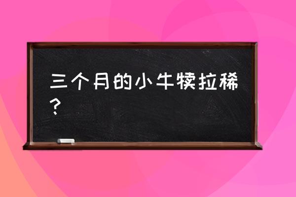 犊牛反复腹泻有什么特效药 三个月的小牛犊拉稀？