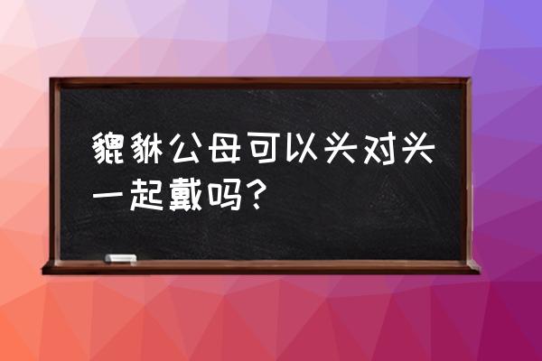 一对貔貅怎么佩戴好 貔貅公母可以头对头一起戴吗？