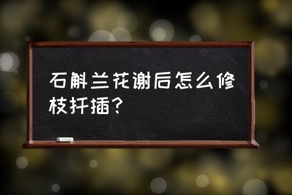 石斛几月扦插 石斛兰花谢后怎么修枝扦插？