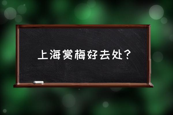 上海看樱花的最佳时间 上海赏梅好去处？