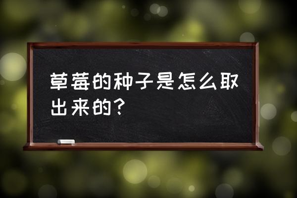 开心果的正确剥法 草莓的种子是怎么取出来的？