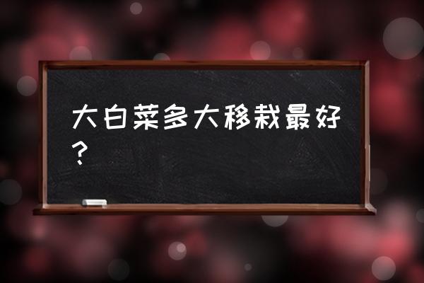 移栽白菜是大苗好还是小苗好 大白菜多大移栽最好？