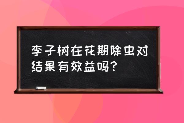 李子树生了钻心虫怎么治 李子树在花期除虫对结果有效益吗？