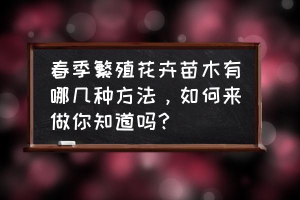 苗木扦插的最佳方法 春季繁殖花卉苗木有哪几种方法，如何来做你知道吗？