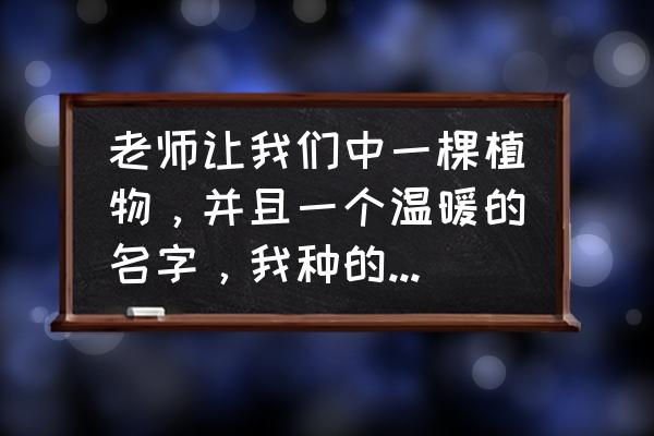 自制蒜苗盆栽 老师让我们中一棵植物，并且一个温暖的名字，我种的是蒜苗，大家帮忙取一个温暖的名字？