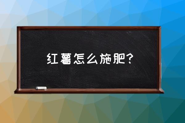 红薯施肥的技巧 红薯怎么施肥？