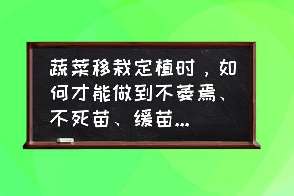 移栽的菜苗怎么管理 蔬菜移栽定植时，如何才能做到不萎焉、不死苗、缓苗快、苗势壮？