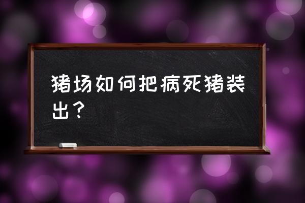 病死猪最佳处理方案 猪场如何把病死猪装出？