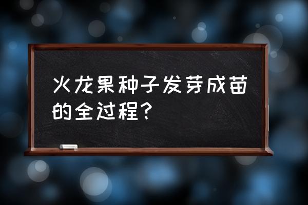 火龙果花如何采摘来吃 火龙果种子发芽成苗的全过程？