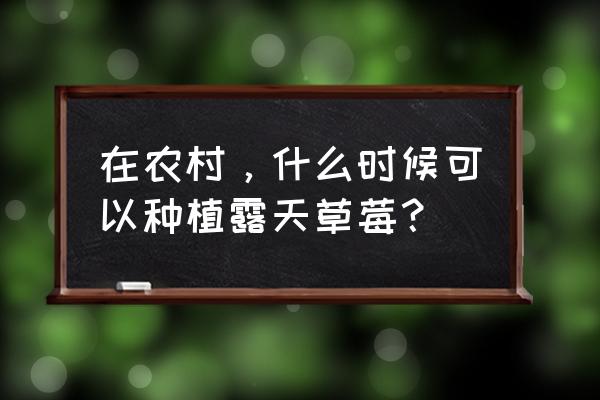 露天草莓种植方法全过程 在农村，什么时候可以种植露天草莓？