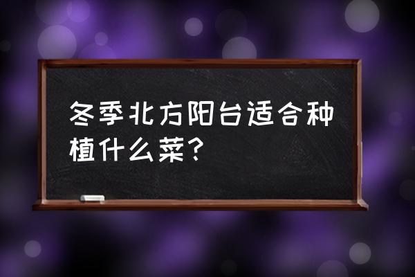 冬季阳台种什么菜最好 冬季北方阳台适合种植什么菜？